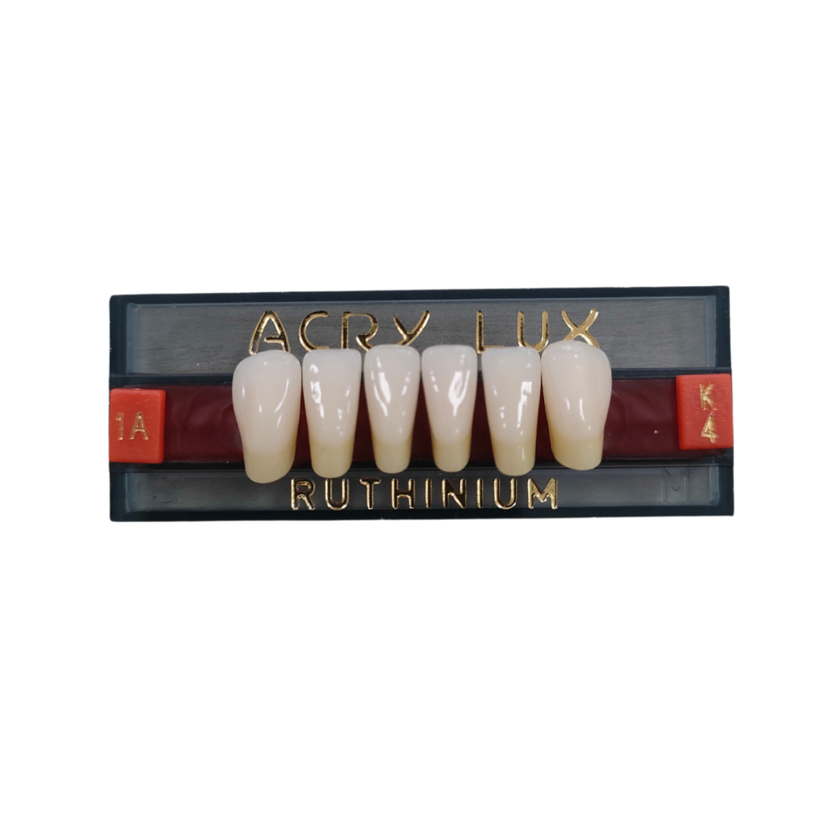 DENTI ACRY LUX INCISIVI INFERIORI x6