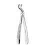 PINZA ESTR. MOLARI SUP. BAMBINI
