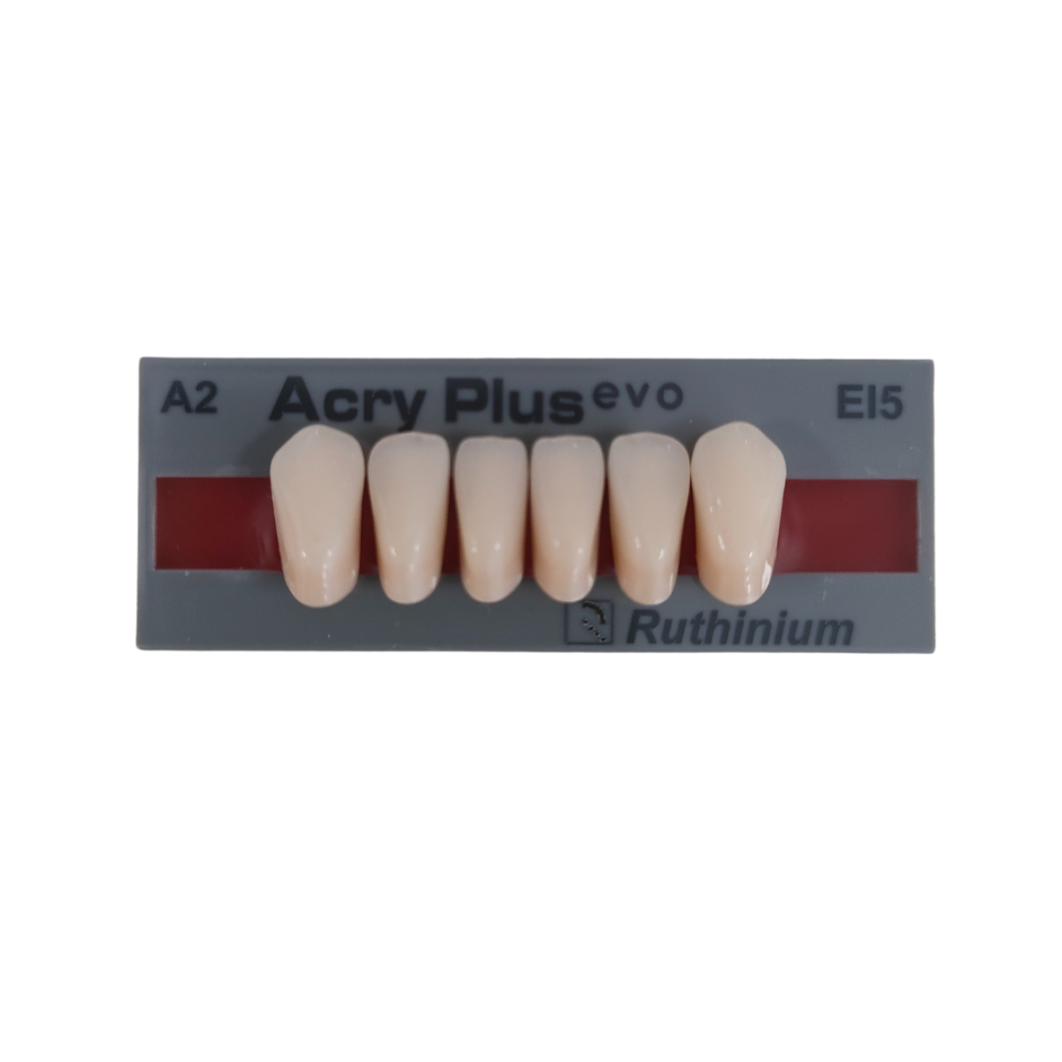 DENTI ACRYPLUS EVO INCISIVI INFERIORI x6