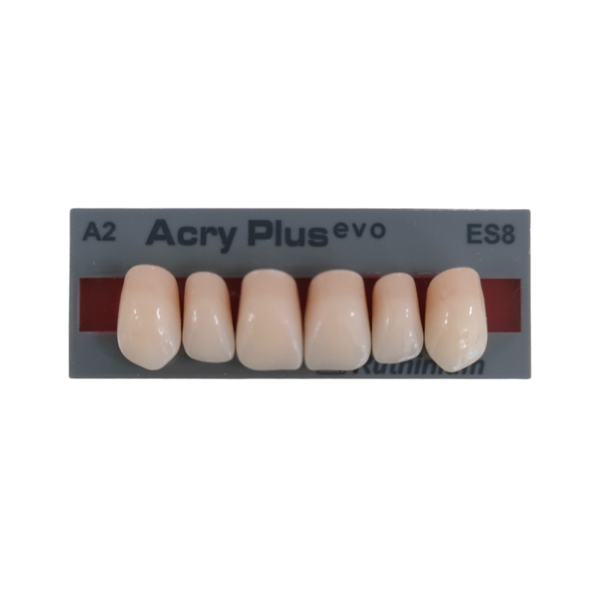 DENTI ACRYPLUS EVO INCISIVI SUPERIORI x6