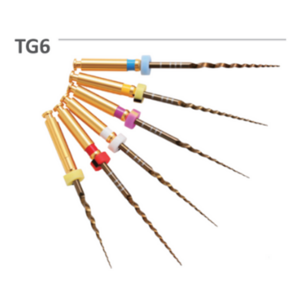 TG6 TAPER GOLD