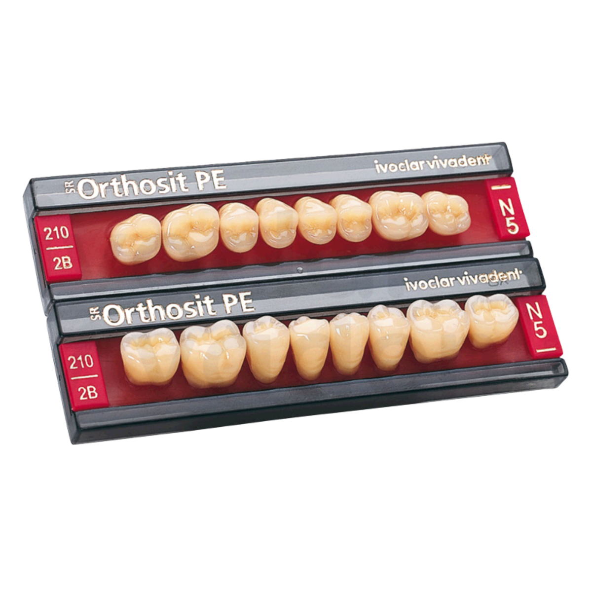 Denti ORTHOSIT PE x8